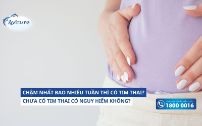 Chậm nhất bao nhiêu tuần thì có tim thai? Chưa có tim thai có nguy hiểm không?